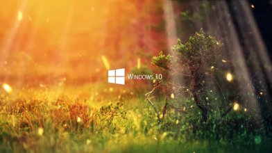 Windows 10 Nature