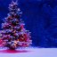Snowy Christmas Tree screensaver logo