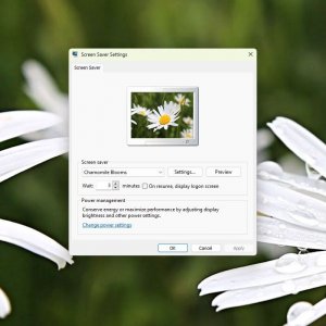Chamomile Blooms screensaver 2