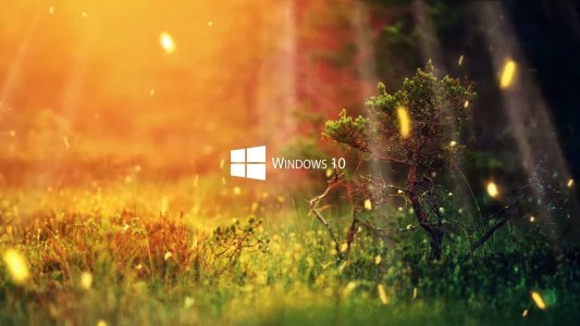 Windows 10 Nature screensaver 2