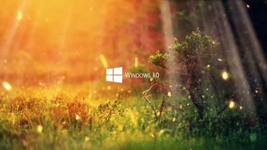 Windows 10 Nature screensaver 1