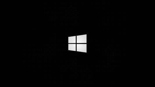 Windows 10 Black Logo screensaver 2
