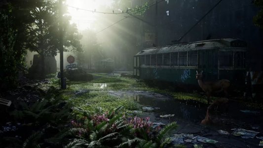 The Last of Us Part 2 screensaver 1