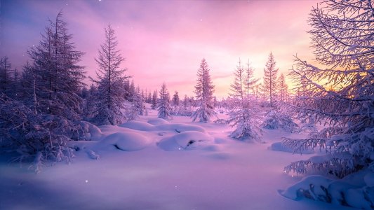 Winter Landscape screensaver 1